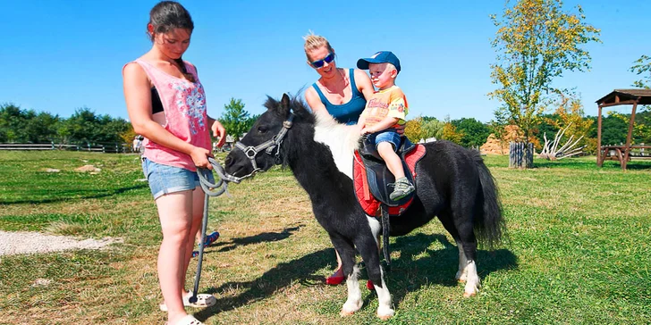 Hurá za zvířátky: rodinný pobyt na Farmě Blaník se snídaní a spoustou zážitků