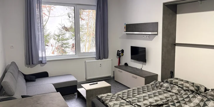 Apartmán disponuje výklopnou manželskou posteľou a rozkladacou pohovkou.