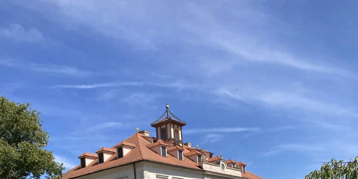 Na místě si užijete procházku s alpakami.