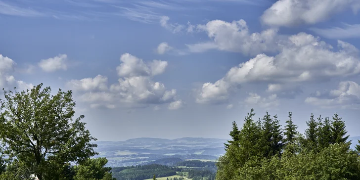 Za příplatek s sebou klidně vezměte i svého pejska.