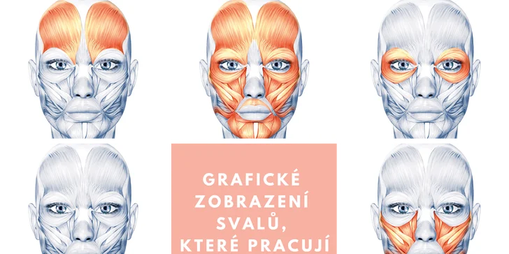Do nabitého online kurzu se můžete přihlásit na týden, měsíc, rok, nebo zvolte poslední variantu voucheru a zajistěte si neomezený přístup.