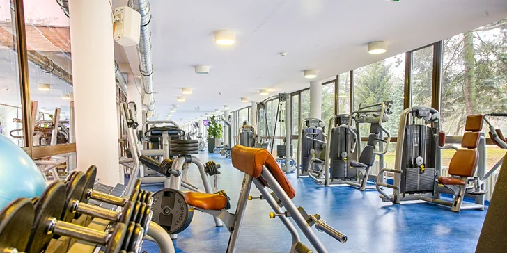 Pre hotelových hosti je taktiež k dispozícii Premier Fitness s bazénom, saunami a vodnými bicyklami.
