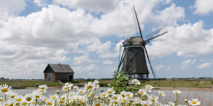 Texel