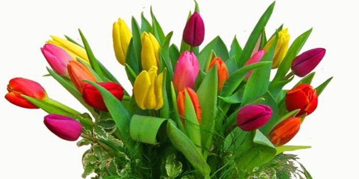 Nádherný pugét z holandských rudých růží či tulipánů včetně dopravy
