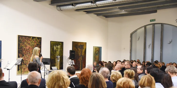 Procházky uměním: Vstupenka na koncert VI. ročníku klasické hudby