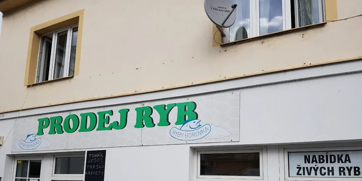 Kilo ryb do kuchyně i na venkovní gril: pstruh, mořský vlk či pražma královská