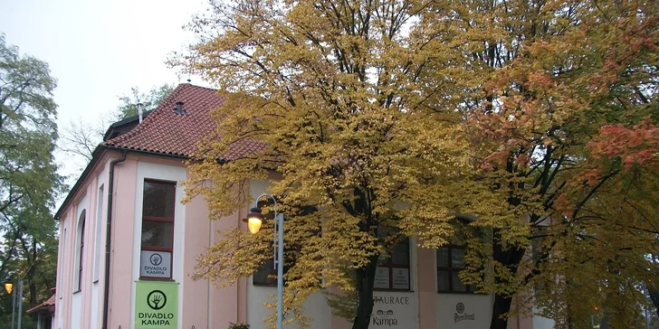 Vstupenky na představení Nataši Burger: Vlny v divadle Kampa