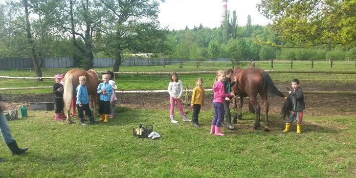 Každý den v sedle: 5denní příměstský tábor u koní pro děti od 5 do 13 let