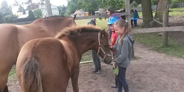 Každý den v sedle: 5denní příměstský tábor u koní pro děti od 5 do 13 let