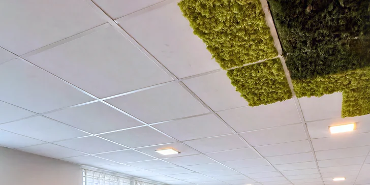 Vyrazte na workshop dle výběru do květinářství Carmen Flora v Mikulově.