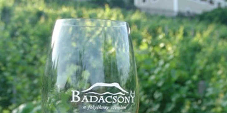 Jednodenní poznávací výlet na Balaton