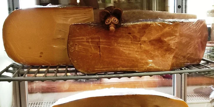 Delikatesy na váš stůl: 500 g klobás z mangalice nebo 380 g baby goudy