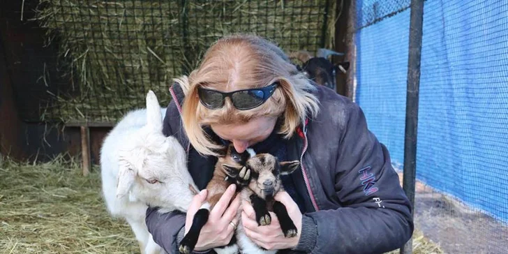 Navštivte velbloudy, lamy, vodního buvola a další zvířátka na Statku u Merlina
