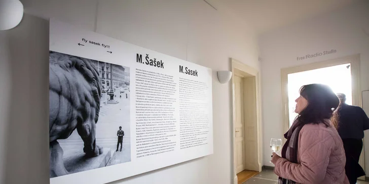 Jednorázový vstup nebo celoroční permanentka do Galerie Villa Pellé