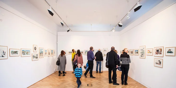 Jednorázový vstup nebo celoroční permanentka do Galerie Villa Pellé