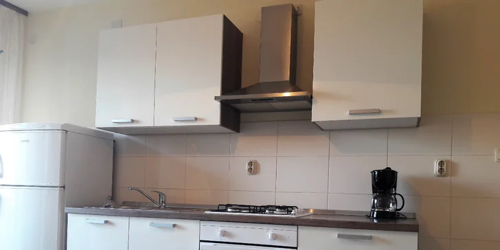 Kuchyňa v apartmáne pre 4 osoby