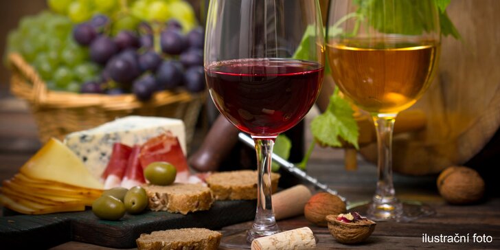 Džbánek kvalitního vína a talíř plný lahůdek ve Wine Studiu na Vinohradech