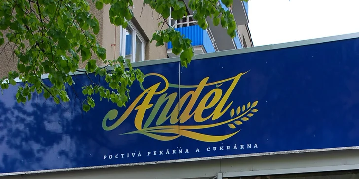 Dort pro oslavence i jen tak na chuť: Čokoládový, Krakow či s mixem ovoce