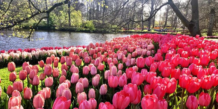Jeden den v květinovém parku Keukenhof i návštěva Amsterdamu