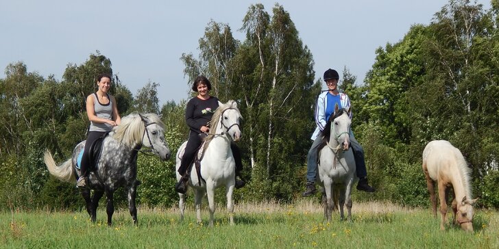 3 hodiny na ranči: péče o koně a poníky a vyjížďka na poníkovi do přírody
