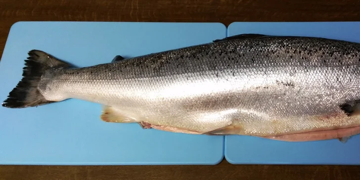 Barevný sushi set s 50 kusy a dovozem až domů nebo do kanceláře
