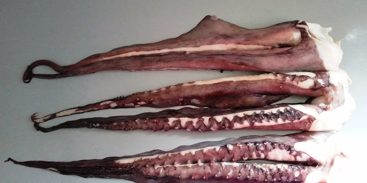 Barevný sushi set s 50 kusy a dovozem až domů nebo do kanceláře