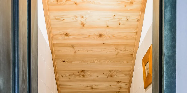 Samozřejmostí je koupelna se sprchovým koutem a WC.