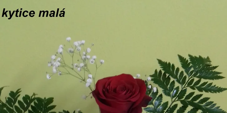 Udělejte někomu radost větší nebo menší kyticí z čerstvých květin