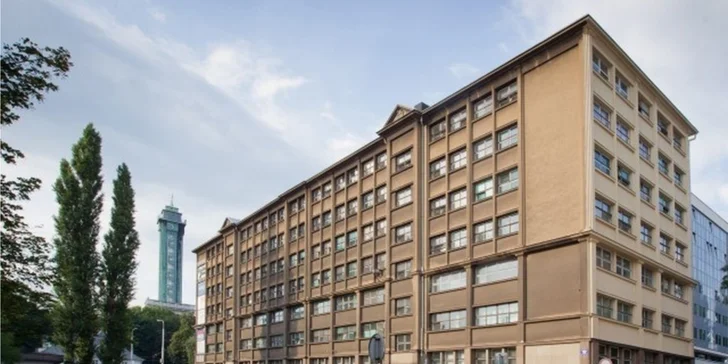 Relaxační masáž zad s vůní modrého irisu včetně zábalu