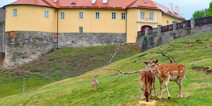 Součástí okruhu A i B je také prohlídka venkovního areálu hradu. 