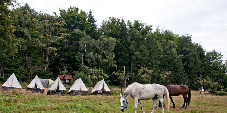 Prázdniny v sedle: týdenní dětský tábor u koní