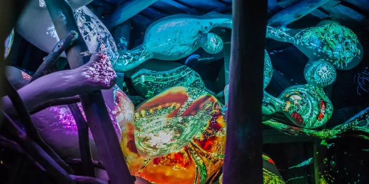 Rodinné vstupné do Sladovny – Galerie hrou s řadou interaktivních výstav
