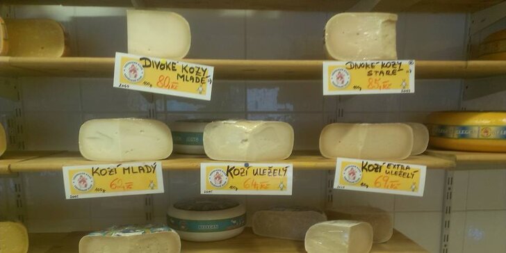Z holandských pastvin na váš stůl: Farmářský sýr nebo lahodná gouda
