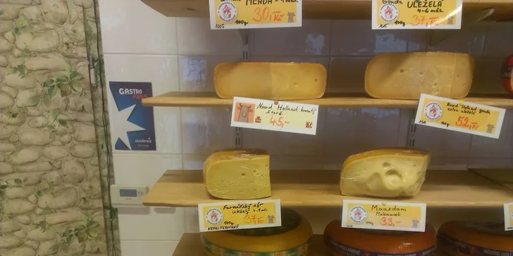 Z holandských pastvin na váš stůl: Farmářský sýr nebo lahodná gouda