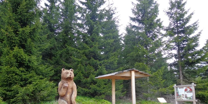 Dovolená v Jilemnické Boudě v Krkonoších pro dva turisty: Polopenze i lahev vína