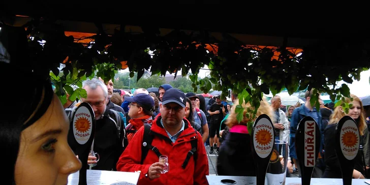 Brewstock: Plzeňský pivně-kulturní festival - Ochutnávka z pivovaru Zhůřák