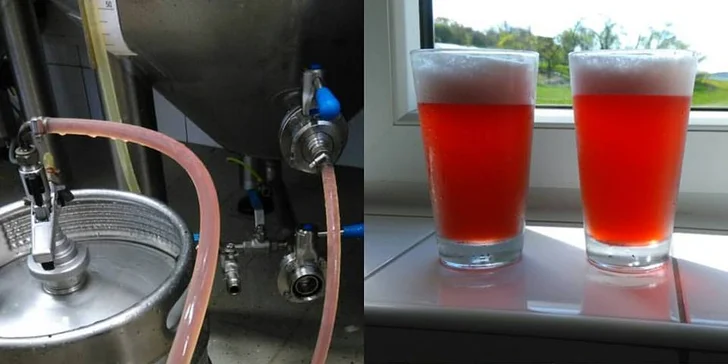 Brewstock: Plzeňský pivně-kulturní festival - Ochutnávka z pivovaru Zhůřák