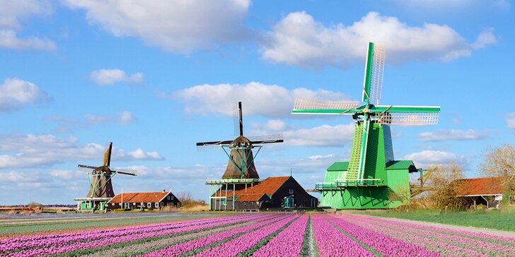 Amsterdam na 1 noc: prohlídka města, sýrový trh i výlet za větrnými mlýny
