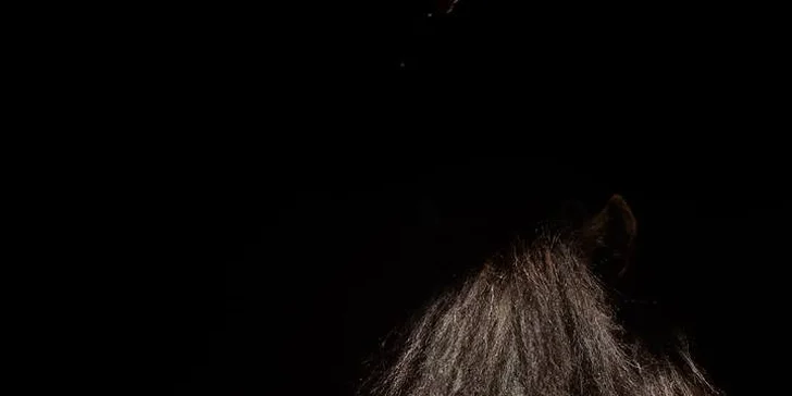 Týdenní jezdecký tábor pro děti od 7 let pro začátečníky i pokročilé