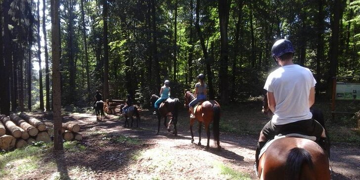 Léto u koní: dětský jezdecký tábor se závody i bez