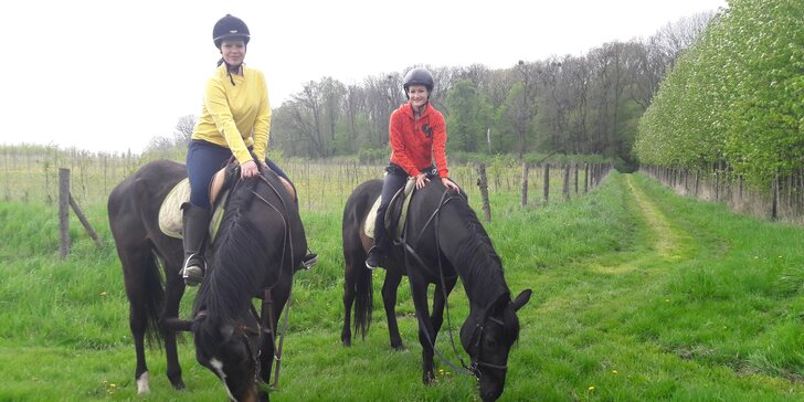 Prožijte den nevšedně: Jízda na koni a péče o něj v jezdeckém klubu