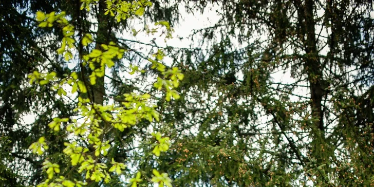Po krásách Moravského krasu: celodenní zapůjčení koloběžky