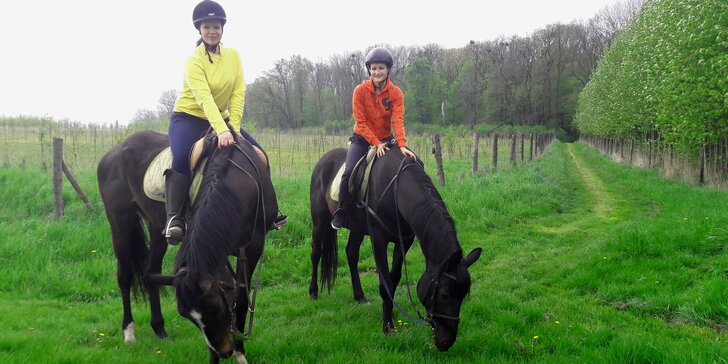 Prožijte den nevšedně: Jízda na koni a péče o něj v jezdeckém klubu