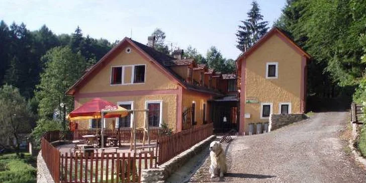 Dovolená na čerstvém vzduchu: apartmán pro 4 osoby přímo v CHKO Český les
