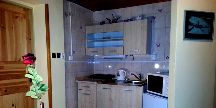 Dovolená na čerstvém vzduchu: apartmán pro 4 osoby přímo v CHKO Český les