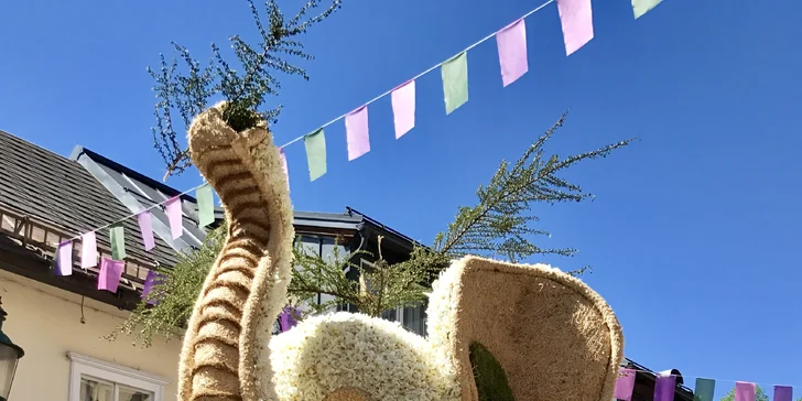 Největší květinový svátek v Rakousku- Festival narcisů a zastávka v Hallstattu