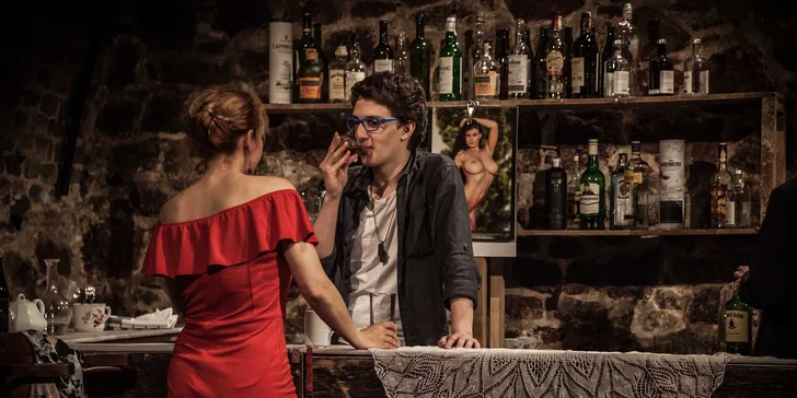 Vstupenka na divadelní představení Harold Pinter: Návrat domů