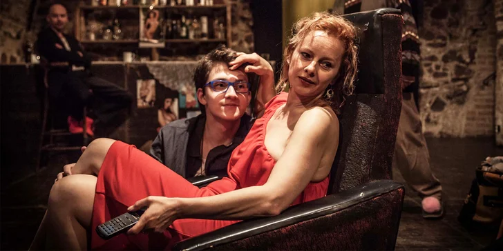 Vstupenka na divadelní představení Harold Pinter: Návrat domů
