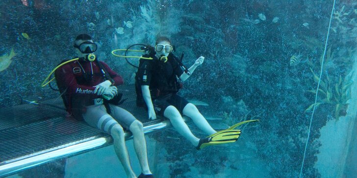 Potápění na zkoušku: v potápěčské jámě s instruktorem a foto na památku