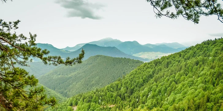 Čutkovská dolina nesie svoje pomenovanie podľa Čutkovského potoka, ktorý preteká celým jej územím.